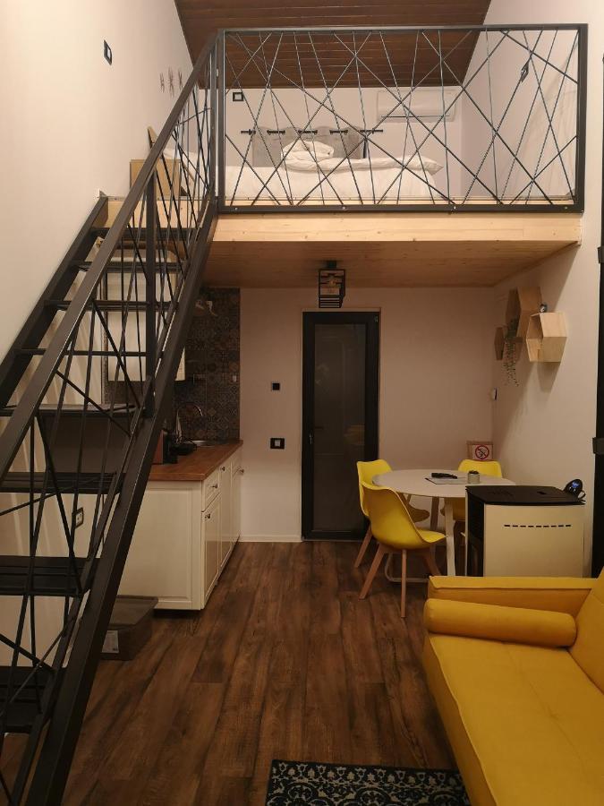 Kopel Haus - Studio - Self Acces Cod Location Balotesti Exterior photo